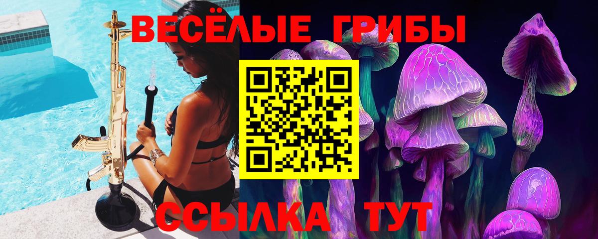 Оренбург  Галлюциногенные грибы MAGIC MUSHROOMS  Вход с VPN 